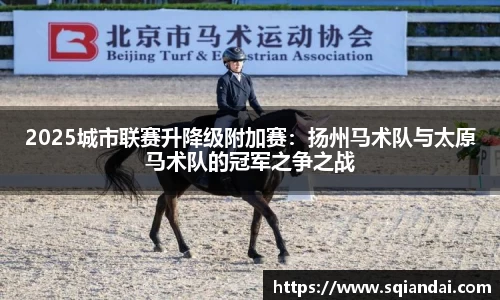 2025城市联赛升降级附加赛：扬州马术队与太原马术队的冠军之争之战